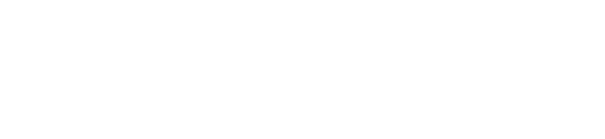 Logo Schnellecke